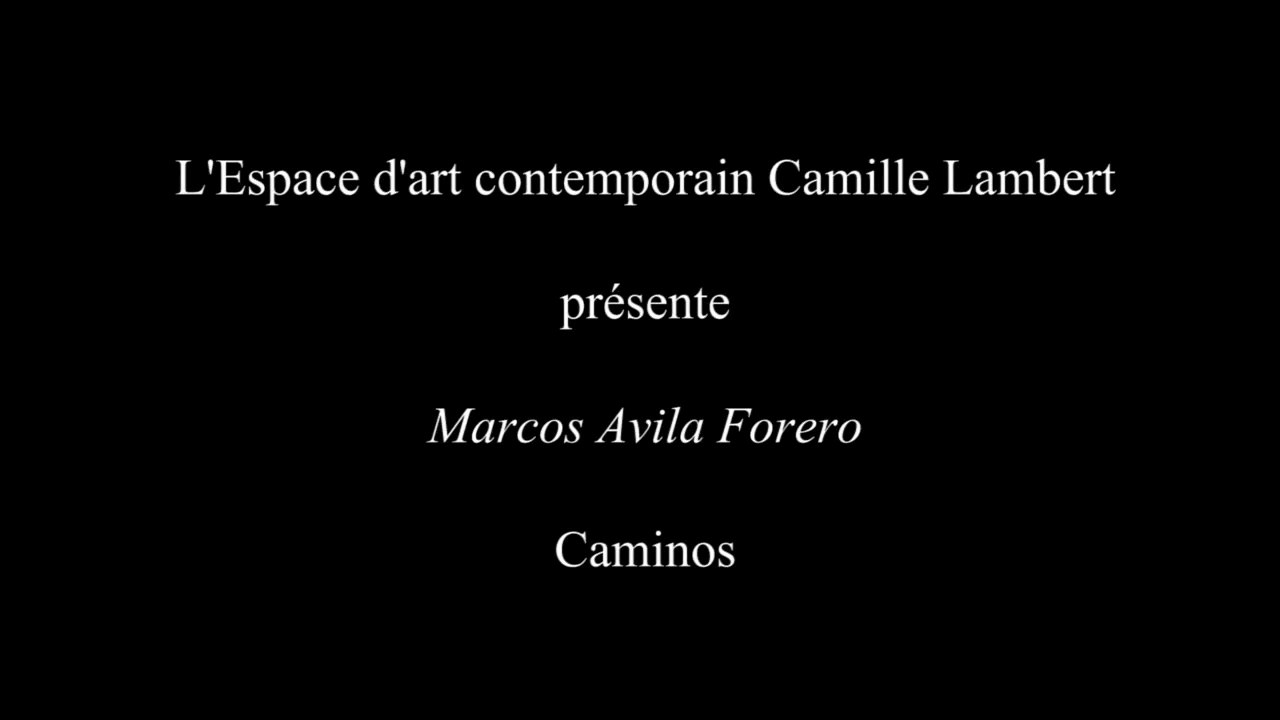 Caminos Marcos Avila Forero