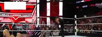 Roman Reigns Beats Triple H With Chair In WWE TLC 2015