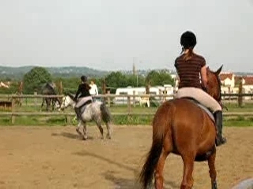 DSCN1451