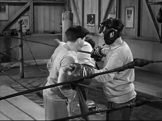 Another Great Fight -SHEMP?