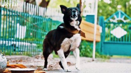 Pub Akvilé (Doublage d'animaux par des enfants)