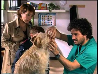 TV3 - Ventdelplà - El gos abandonat (Cap. 11)