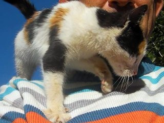 FOTOĞRAFLAR ERDEM UÇAR.