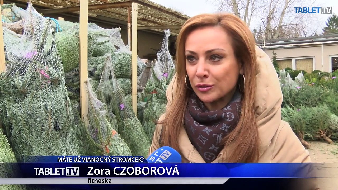 Je ekologickejší umelý či živý vianočný stromček?