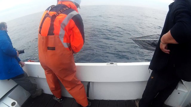 Silure Club Rhodanien : Journée pêche au thon Vidéo 10