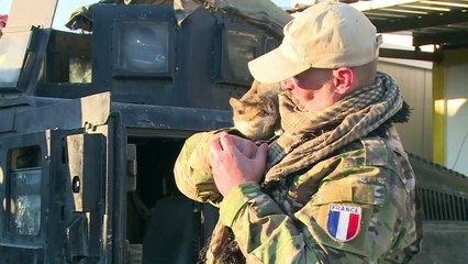 L'Unité 732, des Français qui combattent l'EI en Irak