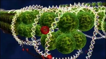 THE MIND OF A RAMPAGE KILLER Serial Killer - Crime Documentary 2015