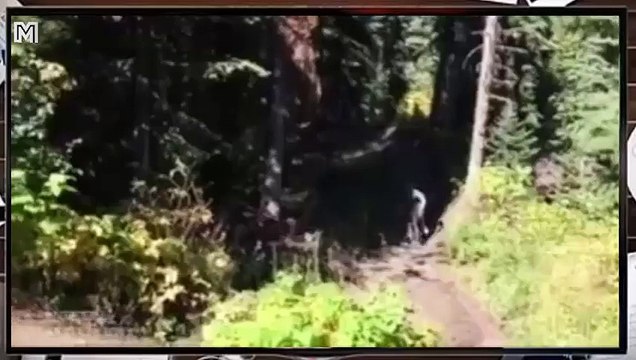 Funny video - Những khả năng khó tin của con người