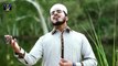 Rabba Mere Haal Da Mehram Tu (Hamd) - Obaidullah Qadri - New Naat Album [2016] - Naat Online