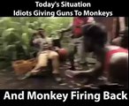 Idiots Giving Guns To Monkey And Monkey Firing Back