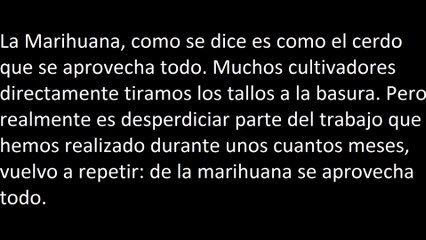 Marihuana ¿que podemos hacer con los tallos tras cosechar?