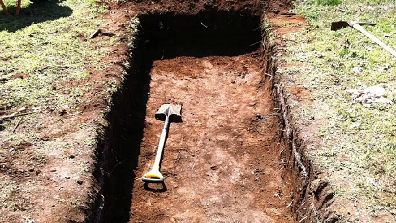 SNAKE IN THE GRAVE - TRUE STORY - MUST WATCH -  ثعبان في القبر قصة حقيقية