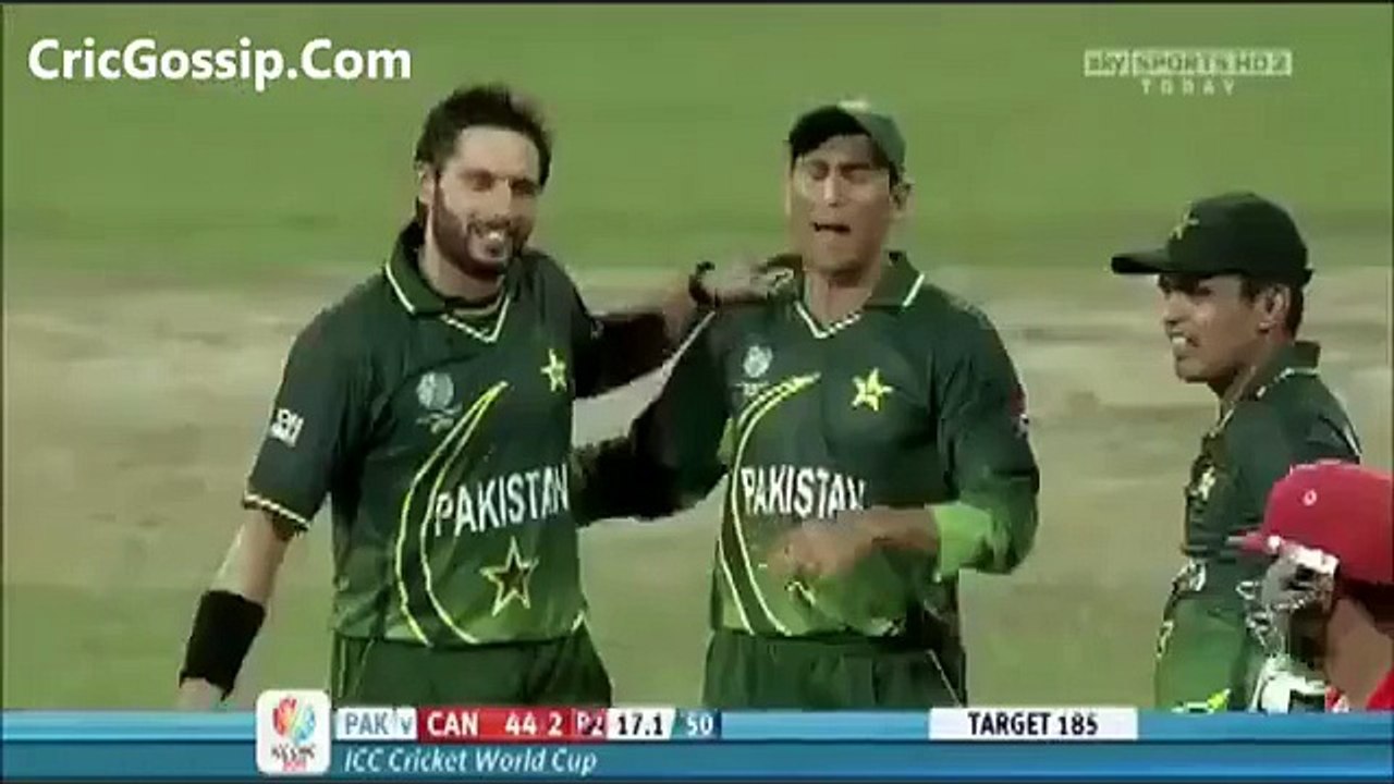 shahid afrid wicket take it video