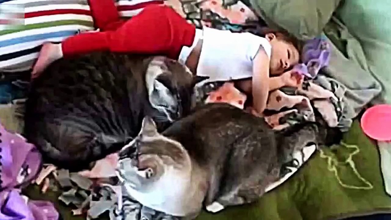 Дети и кошки