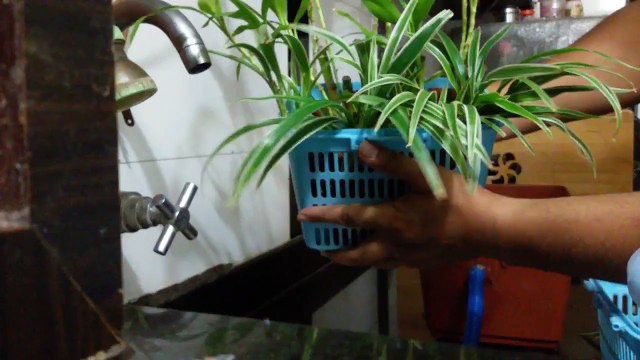 15 AQUAPONICS OVERHEAD SUMP FILTER