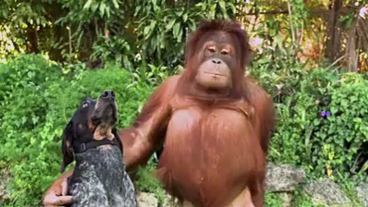 Unlikely friends