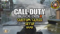 Black Ops 2 Best Custom Class Setup HAMR & Thanks For 3K TerritoryGamer :)