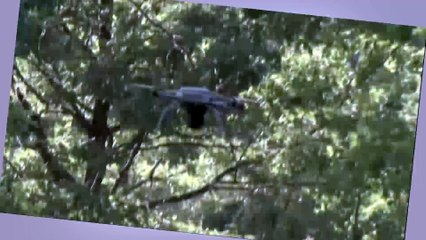 FAA begins drone registry Dec. 21