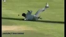 Cricket Funny Moments _ Top 15 Funniest moments in Cricket History Ever (Updated 2015)