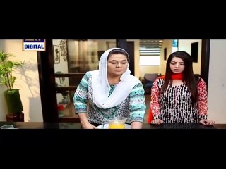 Gudiya Rani Episode 132 P1 ARY TV DRAMA