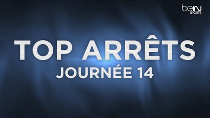 Le Top 5 ARRETS de la 14e journée