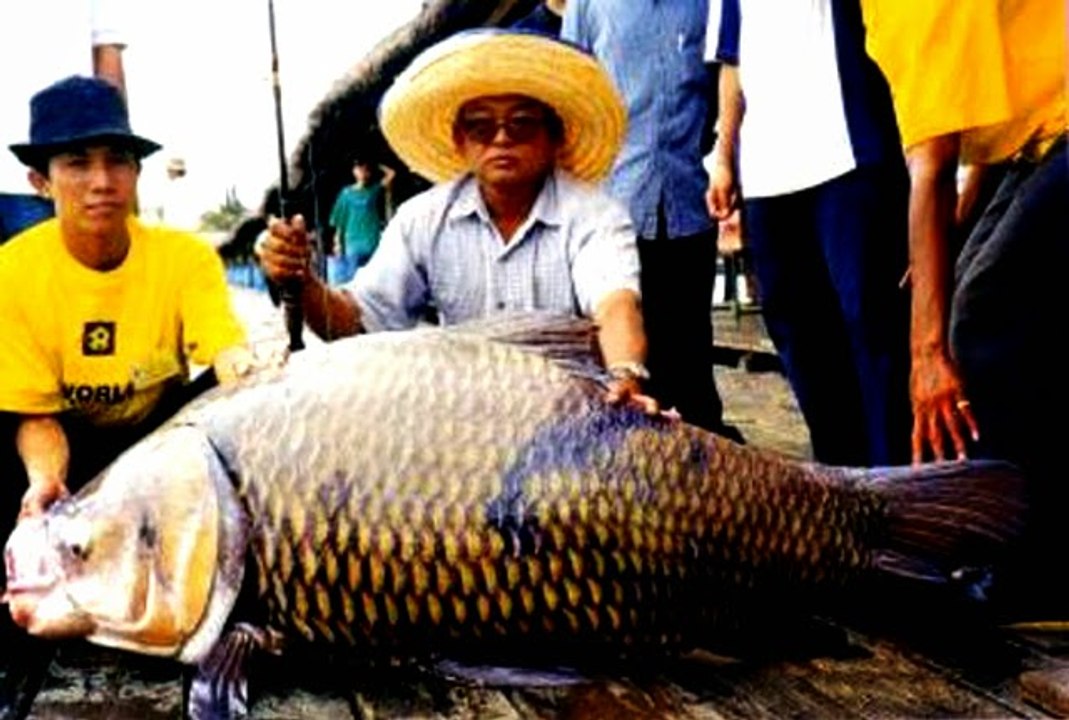 mekong-1