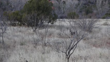 Passing on a Big 10 Point