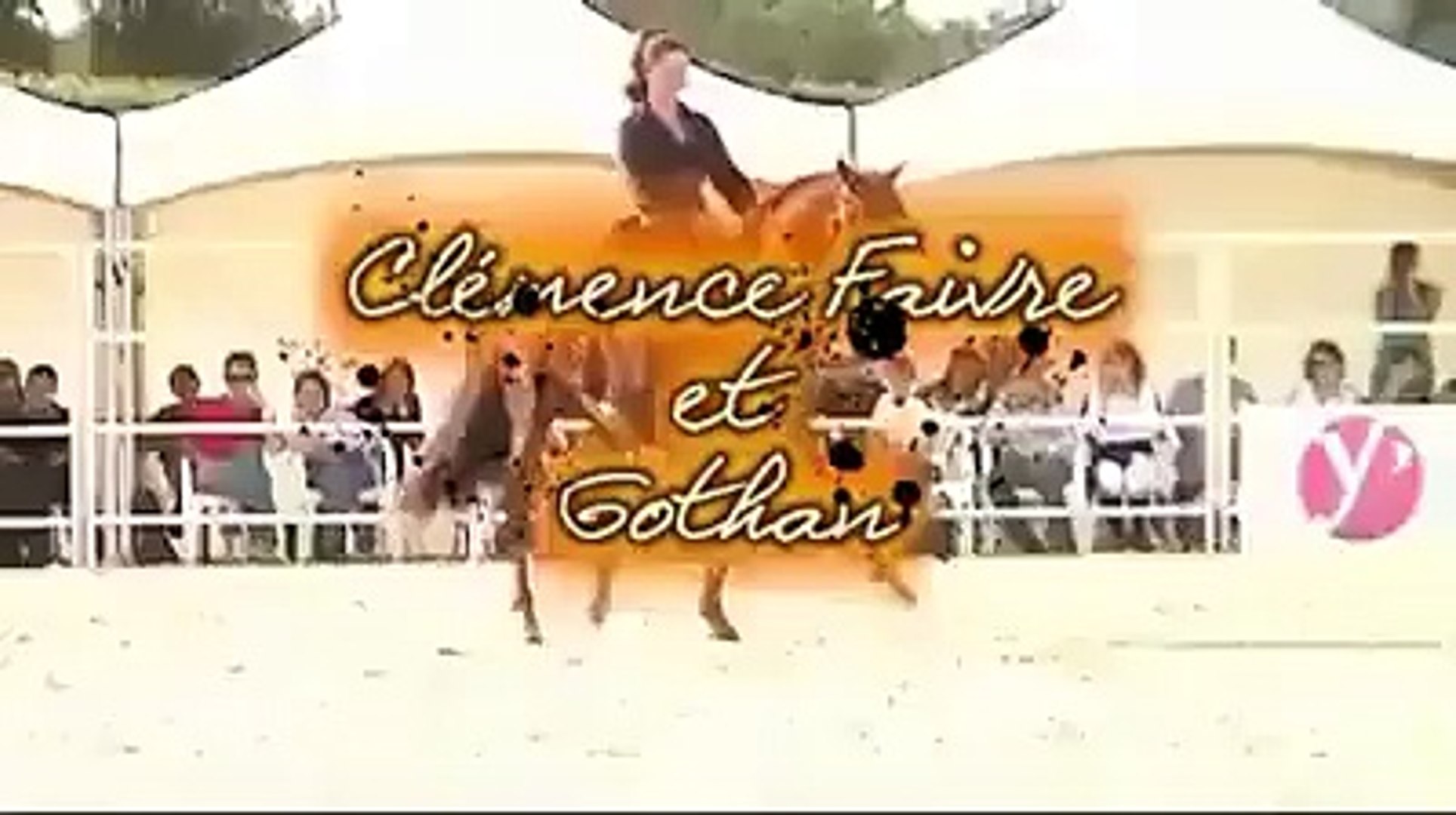 Amazing horse