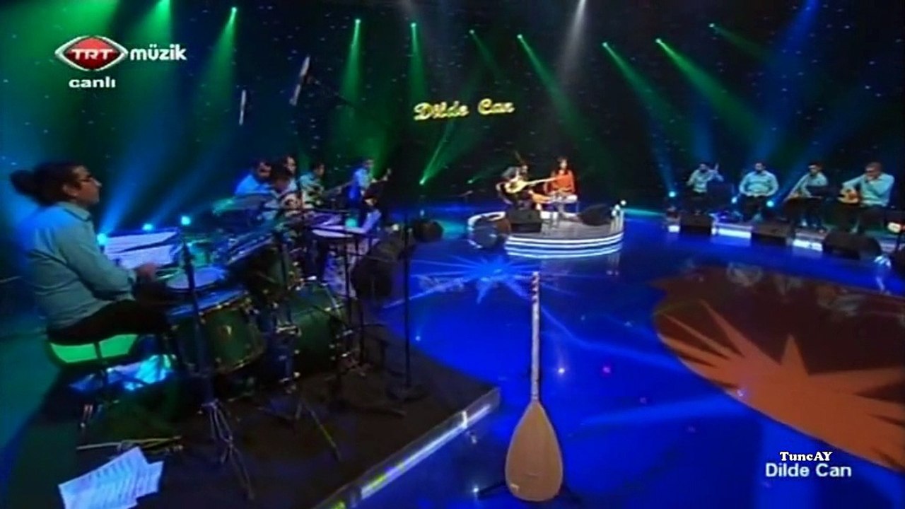 ismail altunsaray-bir çift turna gördüm