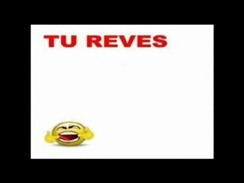 Les Sales Majestés - Les patrons