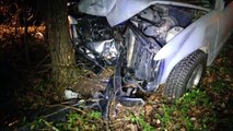 Jaws Of Life Used To Free Greenbrier Man After Pickup Truck Hits Tree On Hwy 41 Early Sund