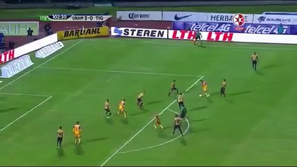 Andre-Pierre Gignac marque encore et devient champion du Mexique