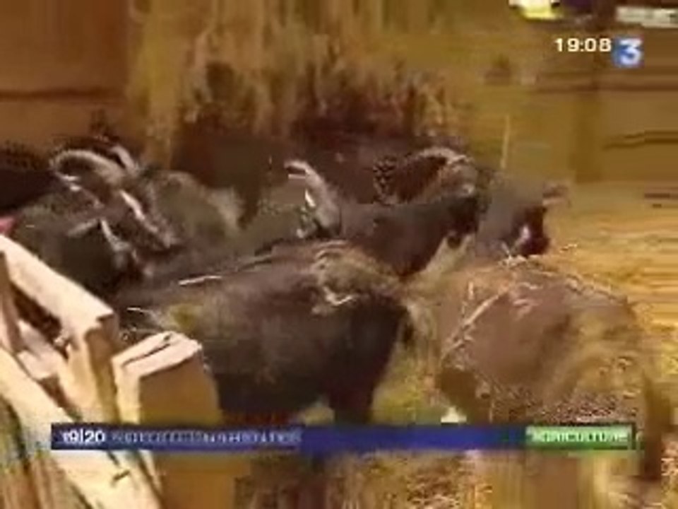 trophée de l'agriculture durable 2009 Benoît Biteau