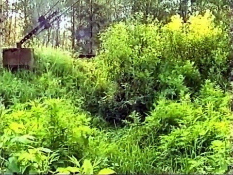 Искусство снайпера. Ошибки при выборе позиции.