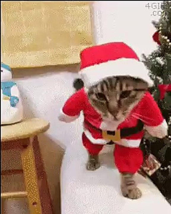 Merry Christmas ♥