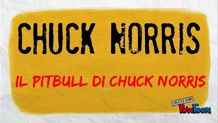 Barzellette- Il pitbull di Chuck Norris