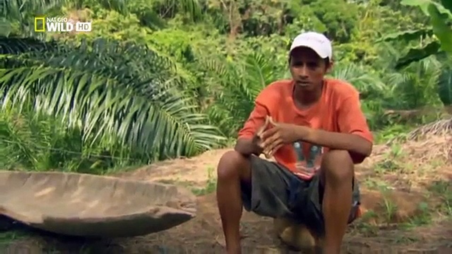 Discovery Channel || Discovery Channel Animals || World