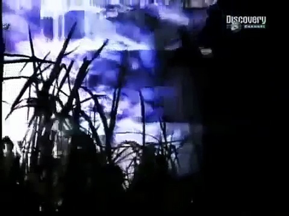 Serial killer - Luis Garavito The Beast over 100 victims Serial Killer Documentary