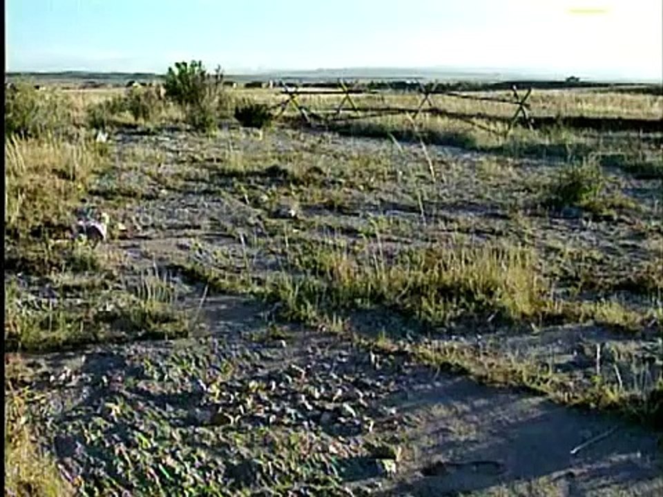 The Matthew Shepard Story (A.J.)