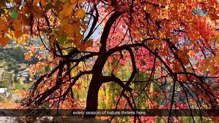 Gilgit Baltistan - Pakistan