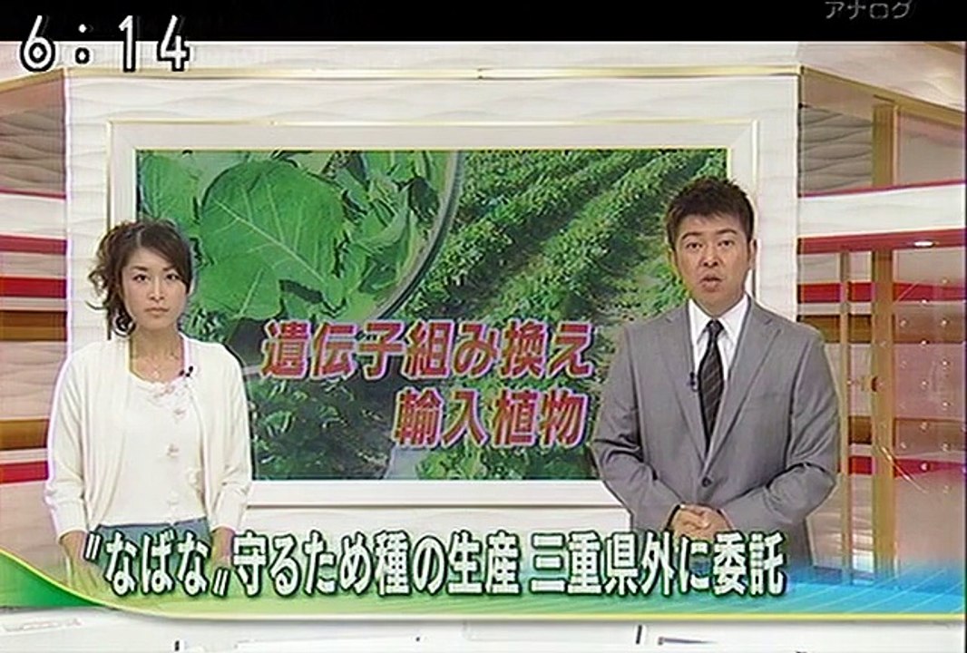 遺伝子組み換え輸入植物 "なばな"守るためタネの生産三重県外に委託 (NHKホットイブニング2010.10.08)