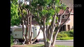 Suburban Orange County Family of 4 Murder Suicide - Dad Mark Sheer Sales Video - Son Michael