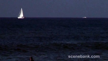 Sailboats at Sea