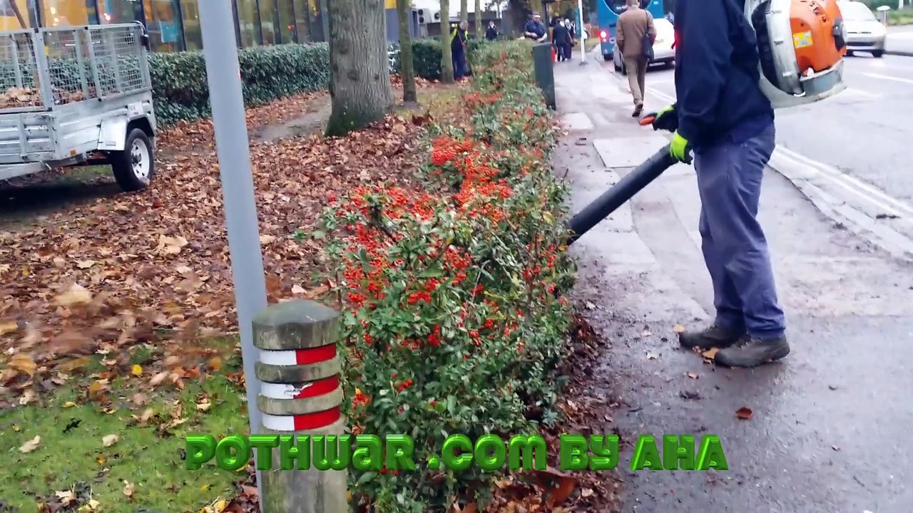 Leaves are being cleaned from Street of Southampton U.K