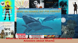 PDF Download  What Do Sharks Eat For Dinner Questions and Answers about Sharks PDF Online