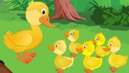Five little ducks went out one day | English Nursery Rhymes