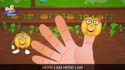 Pumpkin finger family Nursery Rhyme with Lyrics | Vegetable Finger family | Finger Family
