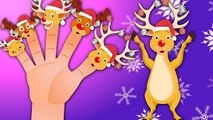 Rudolph The Rednosed Reindeer Finger Family Nursery Rhyme | Finger Family Songs