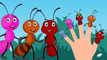 Finger Family Ants Go Marching Family Nursery Rhyme | Animal Finger Family