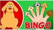 The Finger Family Dog Family Nursery Rhyme | Finger Family Songs | Bingo Finger Family